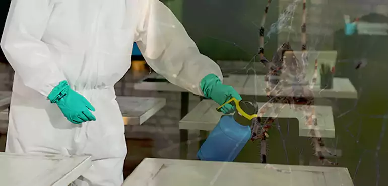 Why Buyers Still Want Homes With Pest Infestations in Oregon, OR?