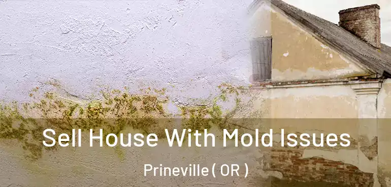 Sell House With Mold Issues Prineville ( OR )
