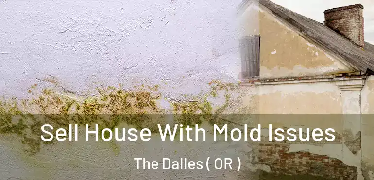  Sell House With Mold Issues The Dalles ( OR )